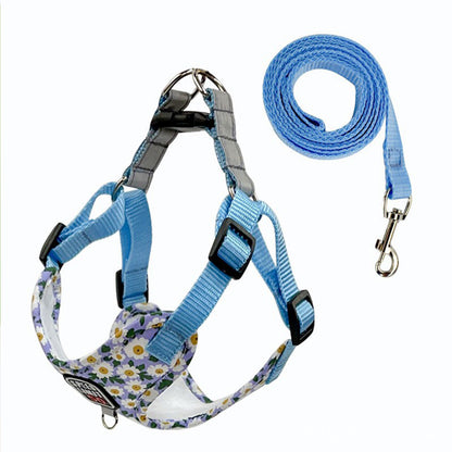 Daisy Comfy Step-in Harness Set
