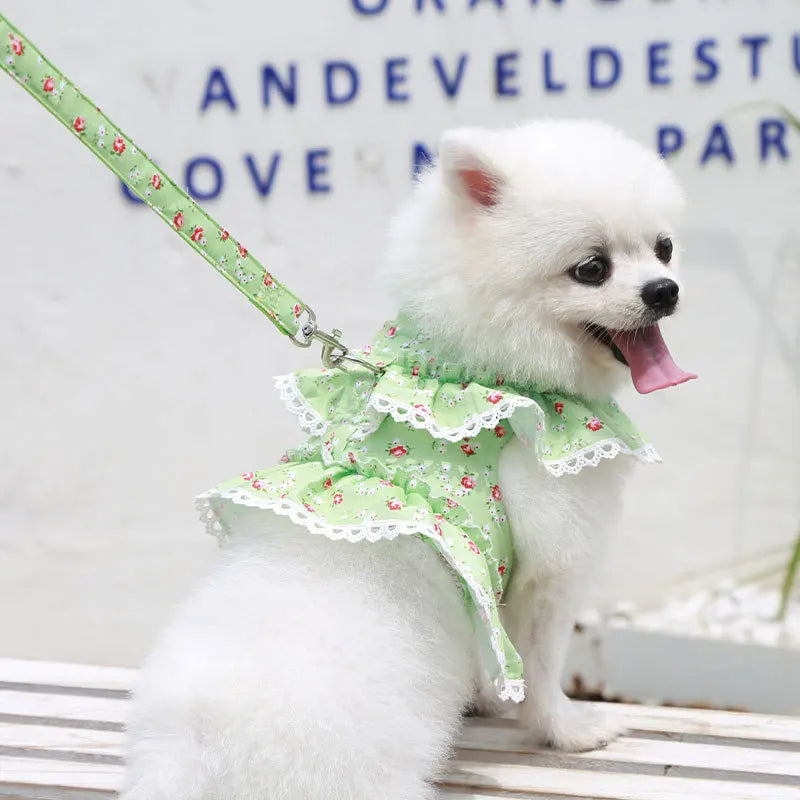 Summer Floral Lace Pet Leashable Clothing