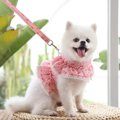 Summer Floral Lace Pet Leashable Clothing