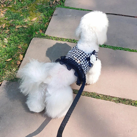 Houndstooth Harness Leash Combo