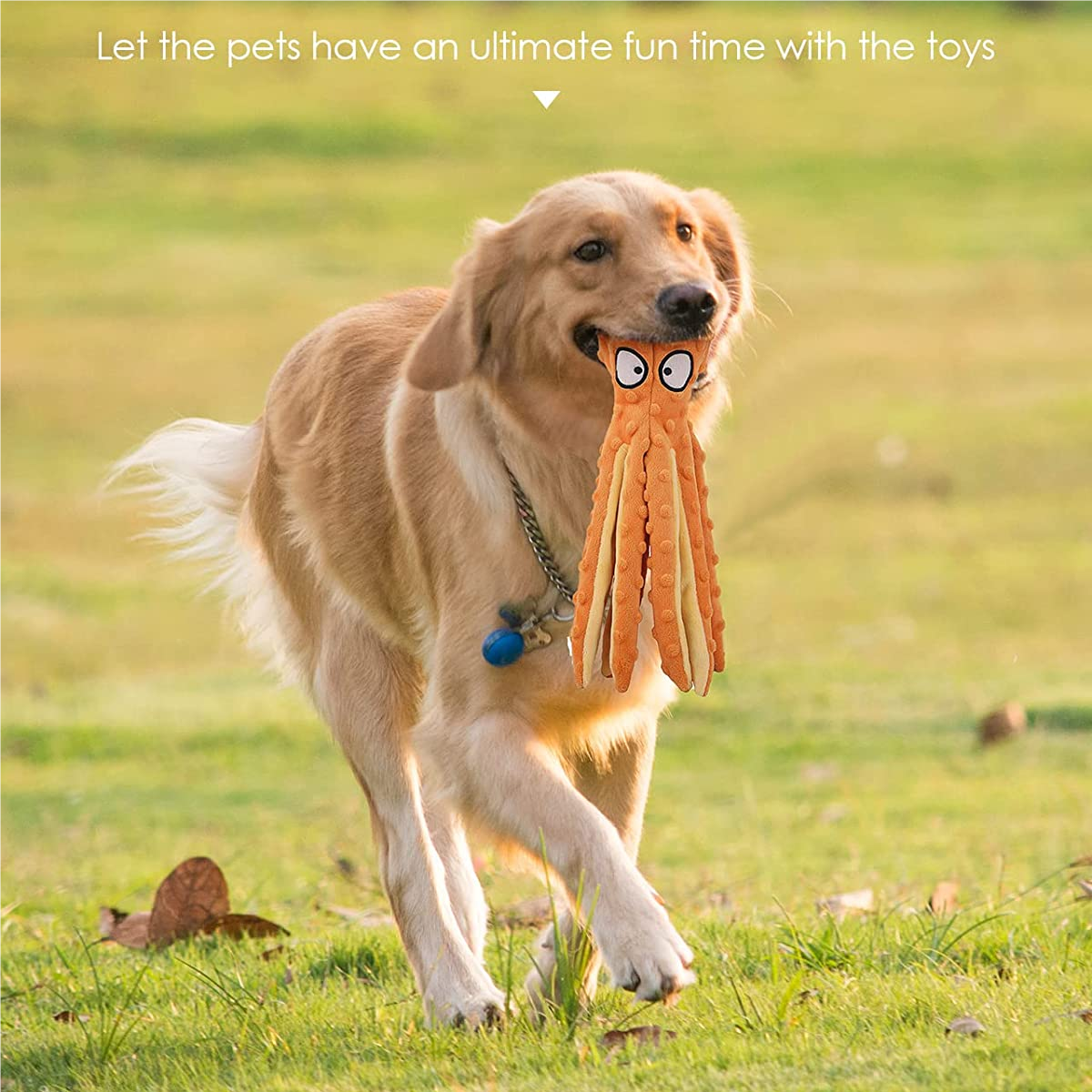 Octopus No Stuffing Dog Chew Toys