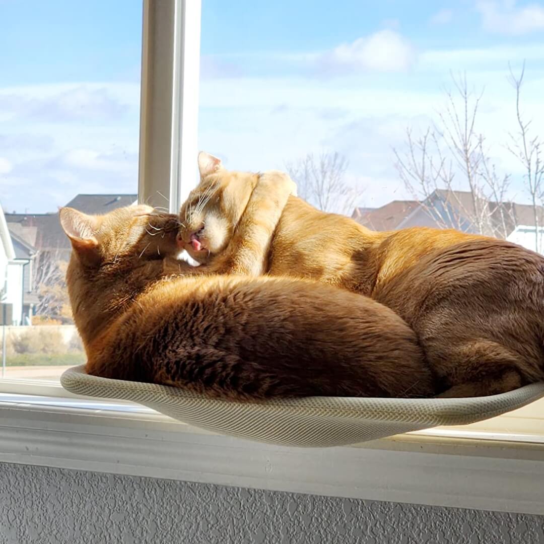 Foldable Window Cat Hammock