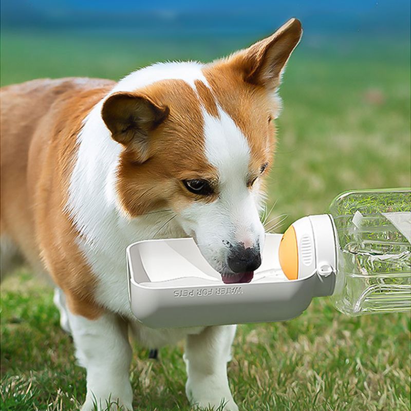 Portable Pet Travel Water Bottle