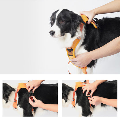 Auto-Lock Dog Harness