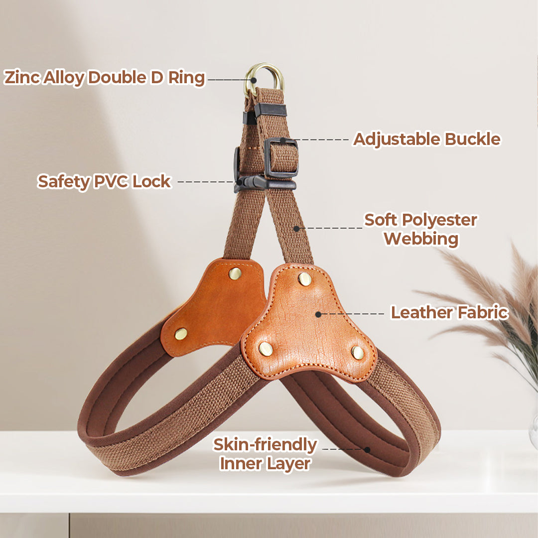 Y-Shaped Simple Step-In Harness