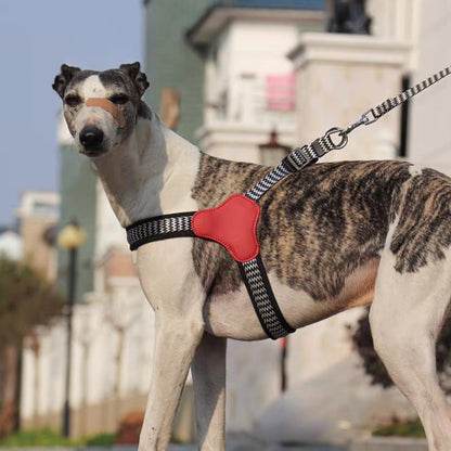 Y-Shaped Adjustable Harness for Dogs