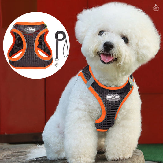 Ultra-Breathable Harness for Small Dog