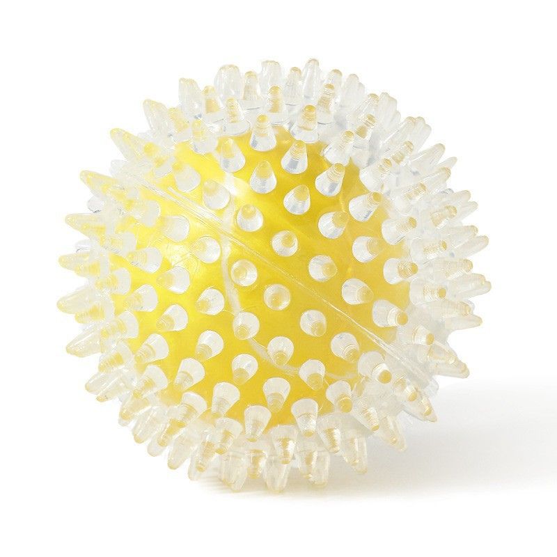 Long Lasting Spiky Chew Ball