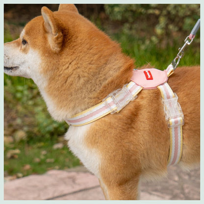 Adjustable Breathable Chic Harness