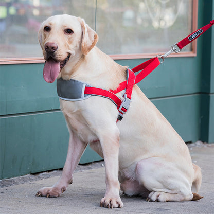 No-Pressure Adjustable Reflective Harness