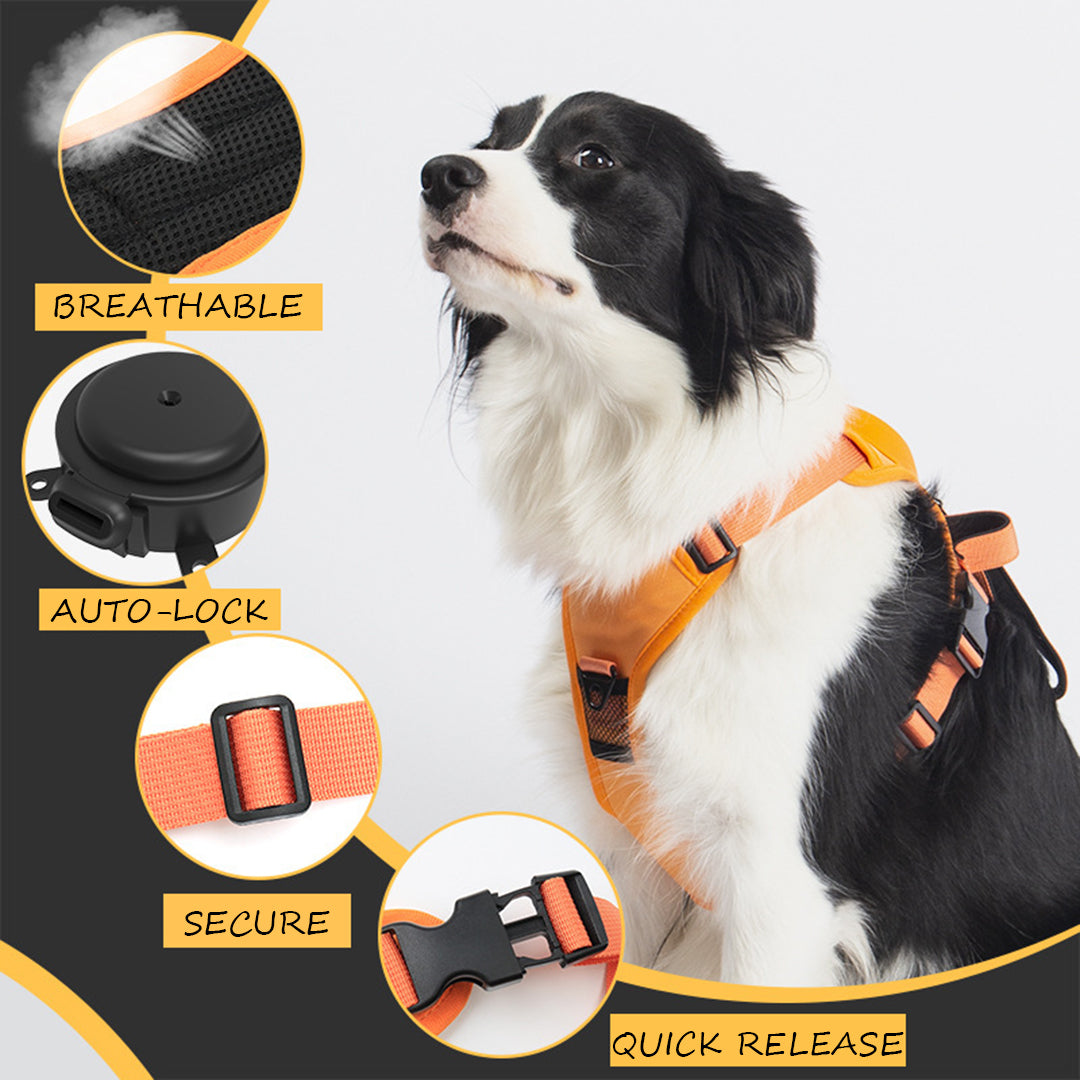 Auto-Lock Dog Harness