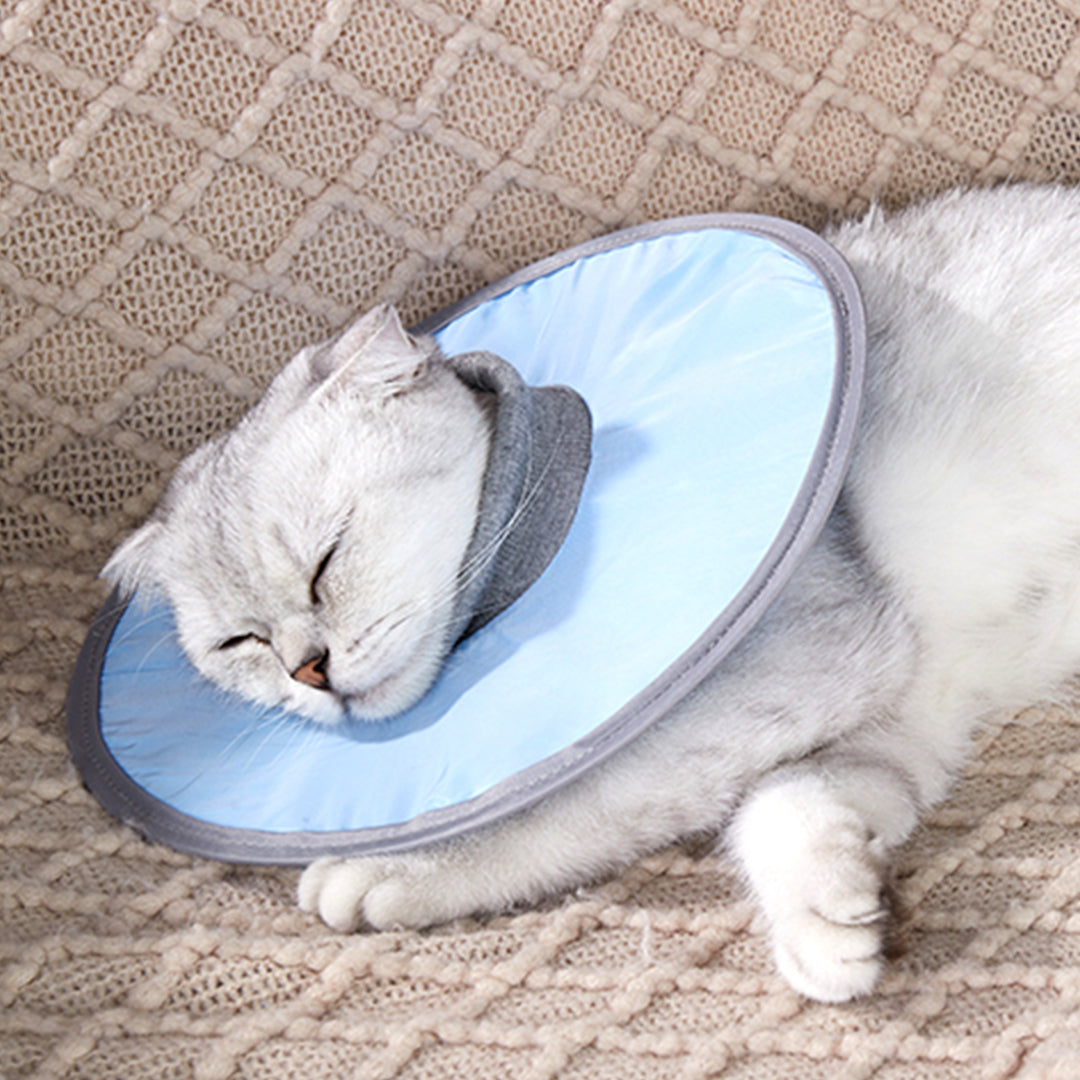 Lightweight Pet Elizabethan Collar