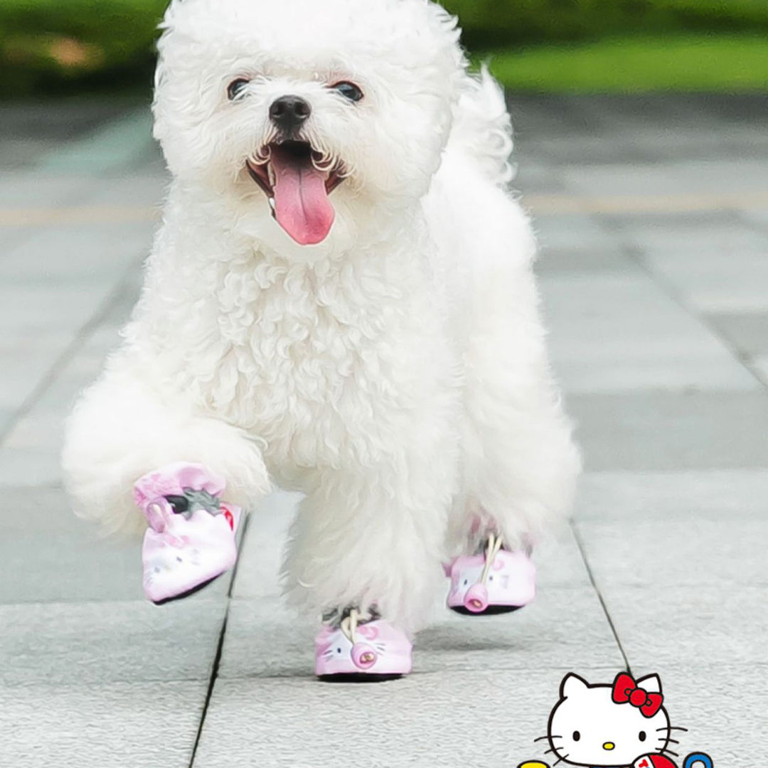 Hello Kitty Dog Shoes for Small Dog