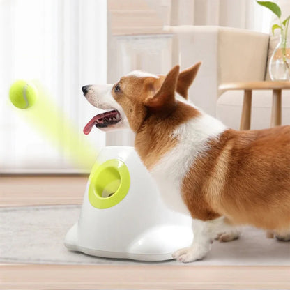 Interactive Automatic Dog Ball Launcher