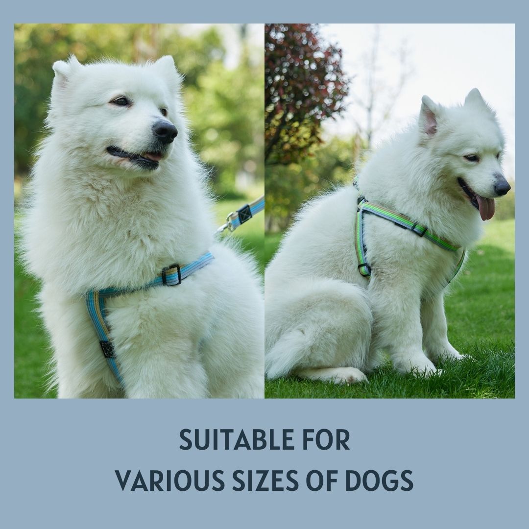 Y-Shaped Step-in Dog Harness