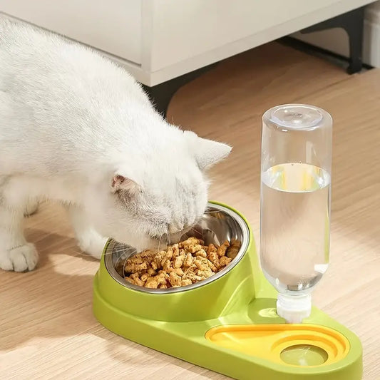 Elevated Cat Food Bowl Set