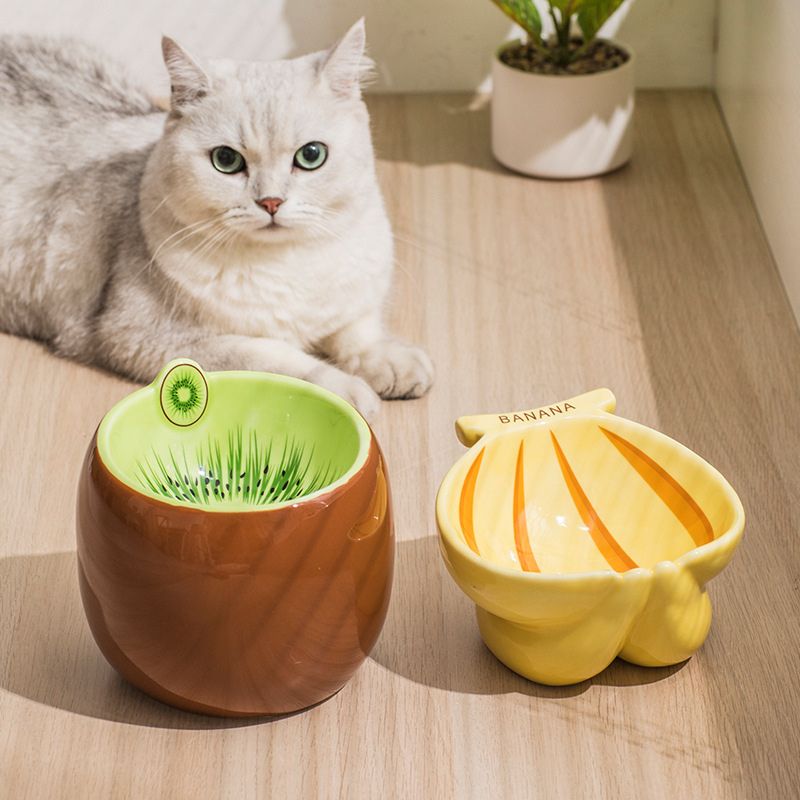 Fruit-Themed Pet Ceramic Bowl