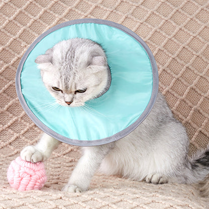 Lightweight Pet Elizabethan Collar