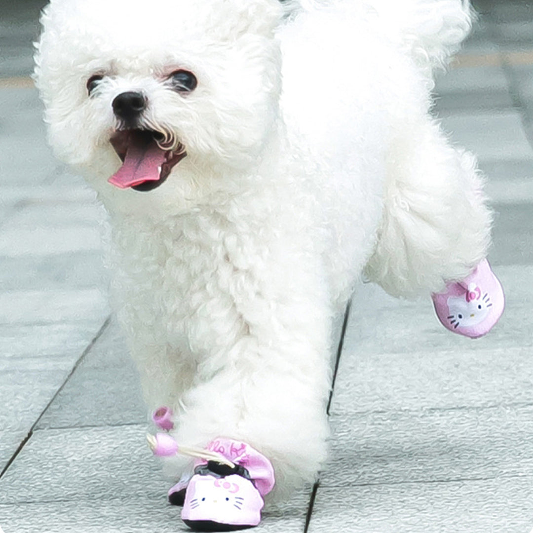 Hello Kitty Dog Shoes for Small Dog