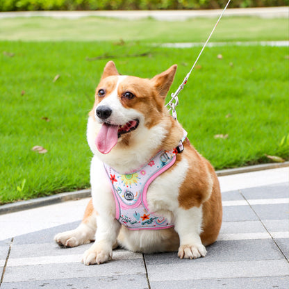 No Chock Dog Harness and Leash Set