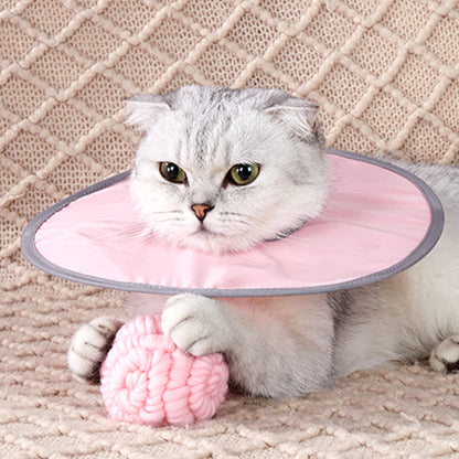 Lightweight Pet Elizabethan Collar