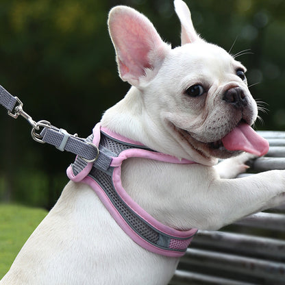 One-Piece Breathable Harness and Leash Set