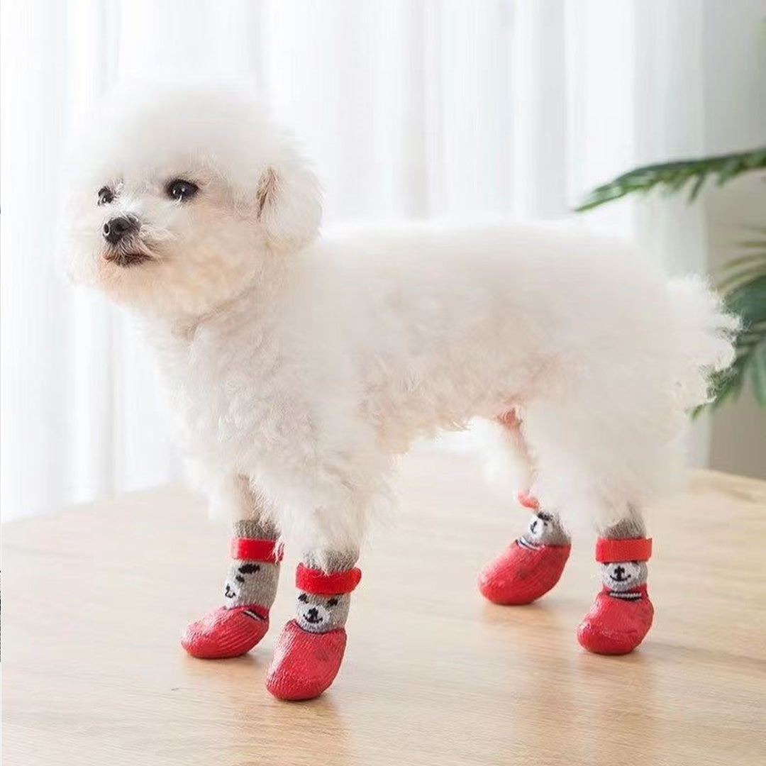 Dog Shoes for Small Dogs