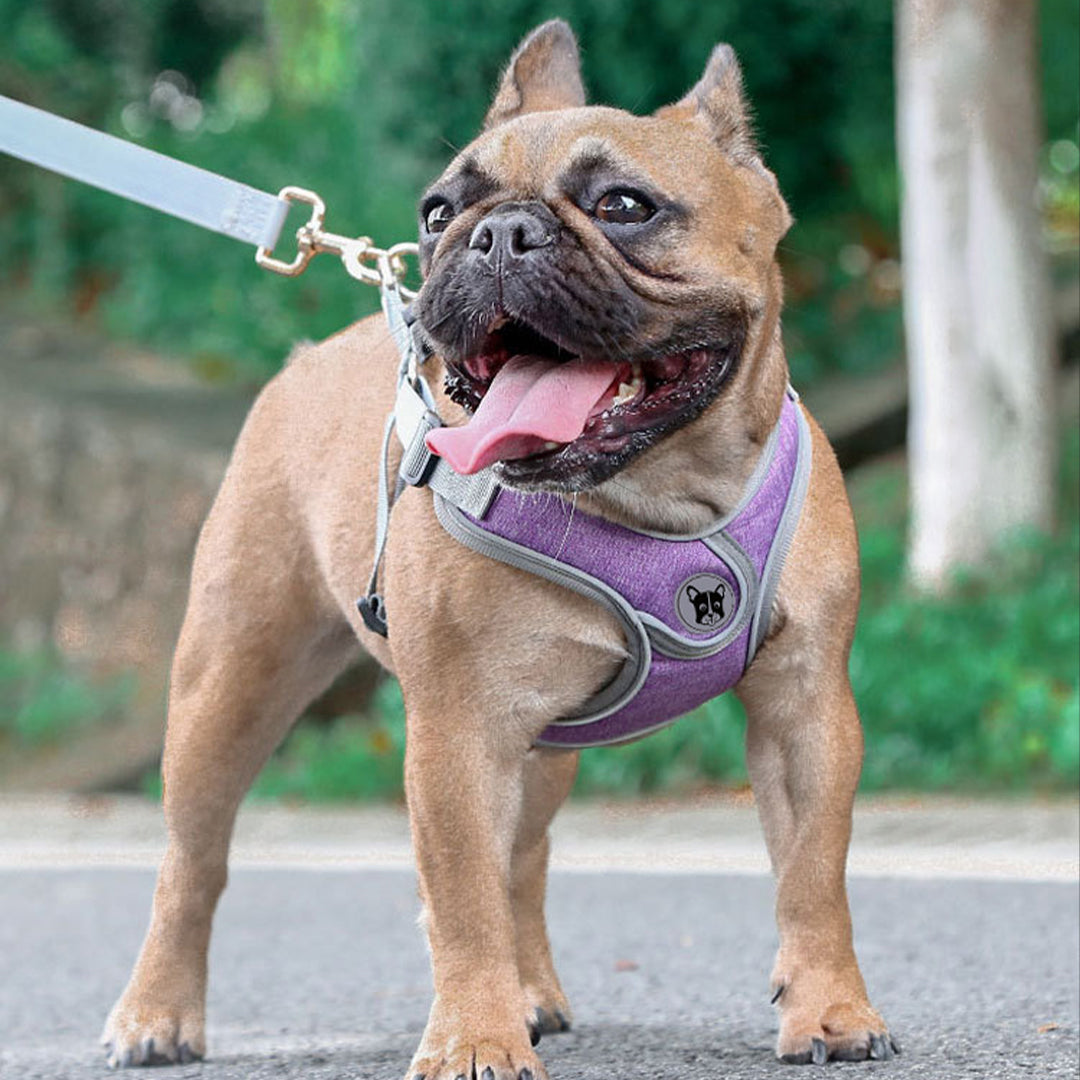 X-Shaped Breathable Reflective Harness