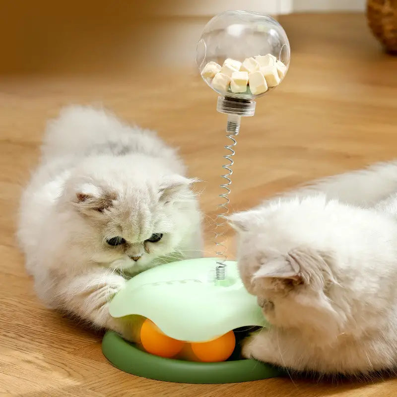 Interactive Cat Slow Feeder