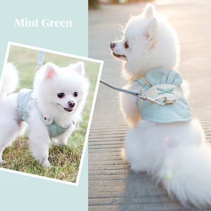 Summer Breathable Dog Outdoor Vest Leash