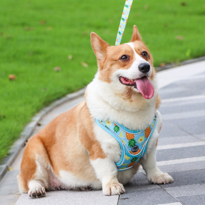 No Chock Dog Harness and Leash Set