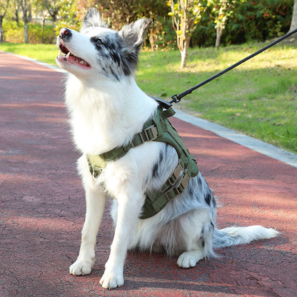 Tactical Harness for Large Dog