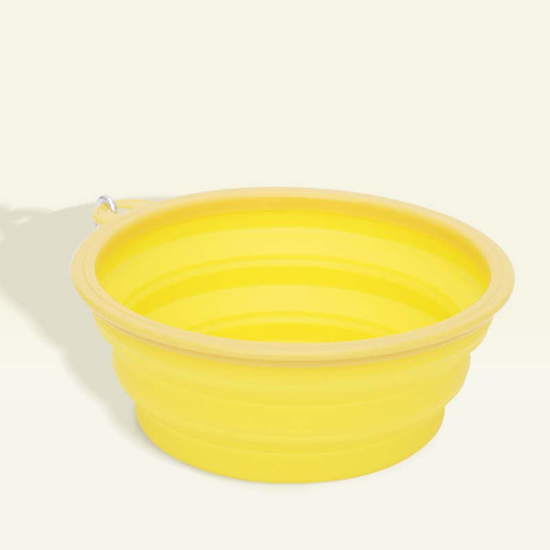 Collapsible Dog Travel Bowl