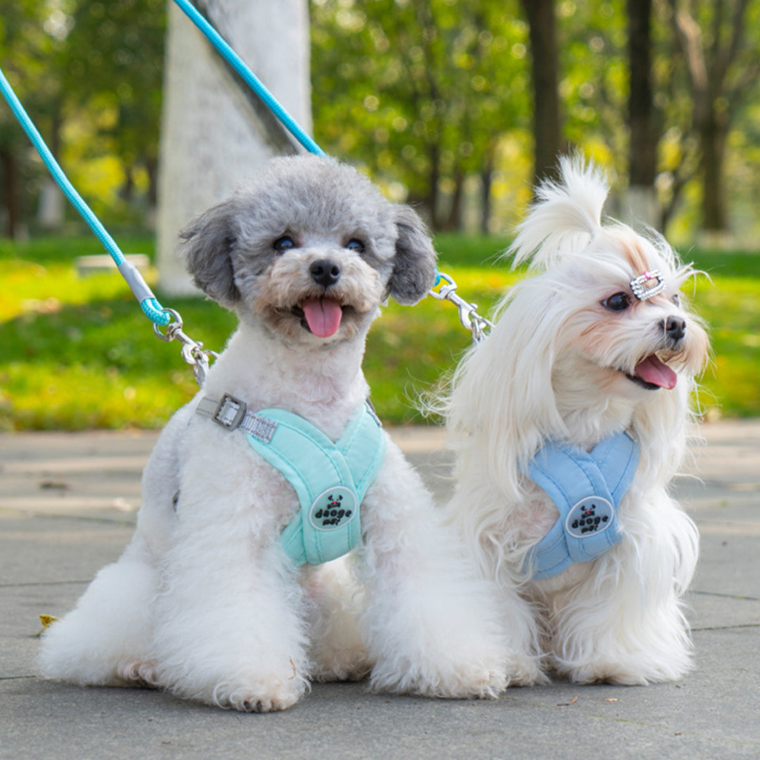 X-Shaped Reflective Harness for Small Dogs