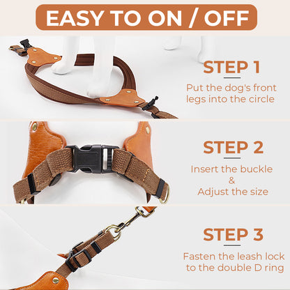 Y-Shaped Simple Step-In Harness