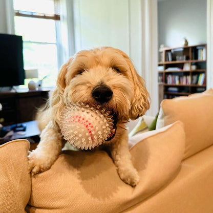 Long Lasting Spiky Chew Ball