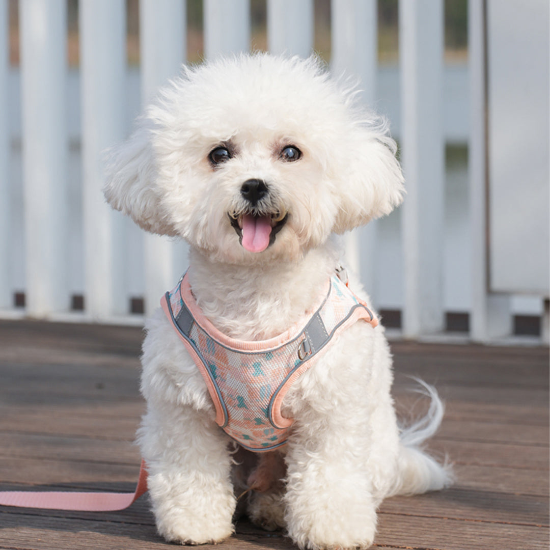 Summer Breathable Harness Set