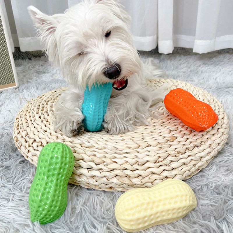 Squeaky Milk Scented Peanut Chew Toy