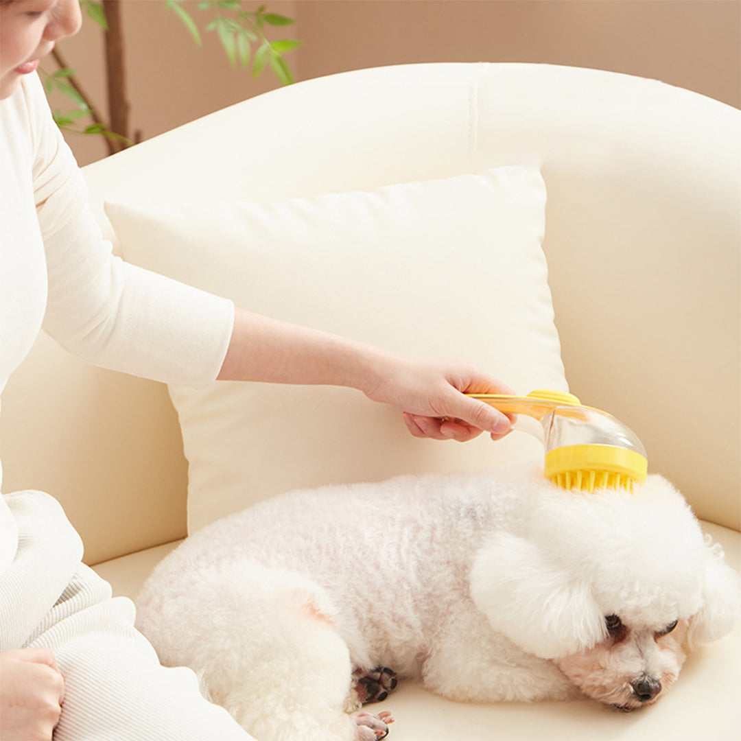 Body Brush for Shower