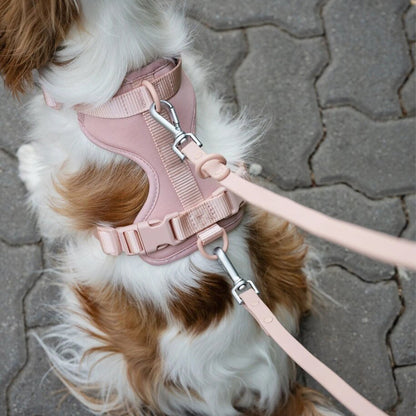 Adjustable Breathable Macaron-Colored Harness