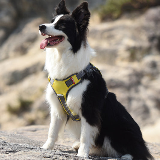 Multifunctional Travel Dog Harness