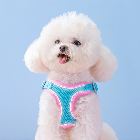 Super Breathable Harness for Small Dog