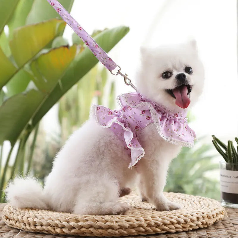 Summer Floral Lace Pet Leashable Clothing