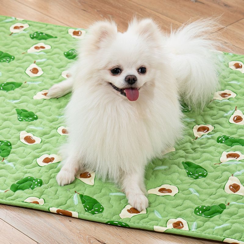 All-season Washable Pet Bed Mat