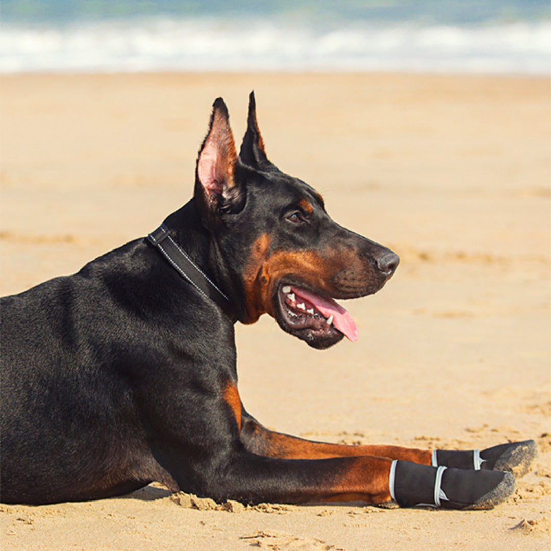 Waterproof Dog Shoes