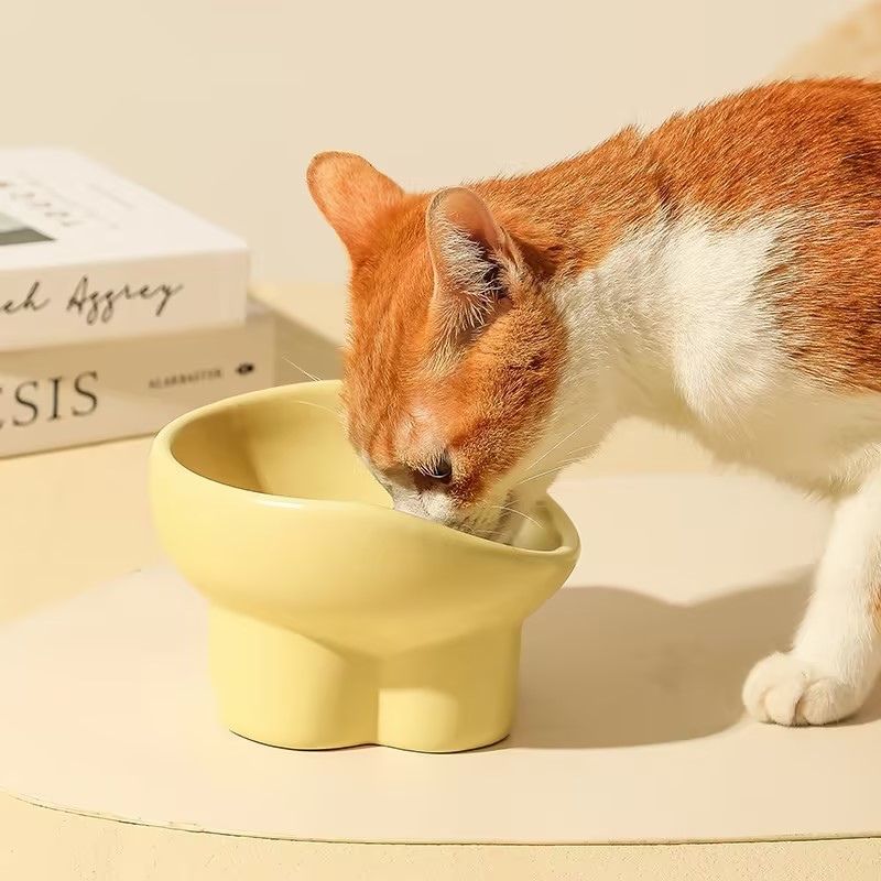 Creamy Elevated Ceramic Cat Bowl