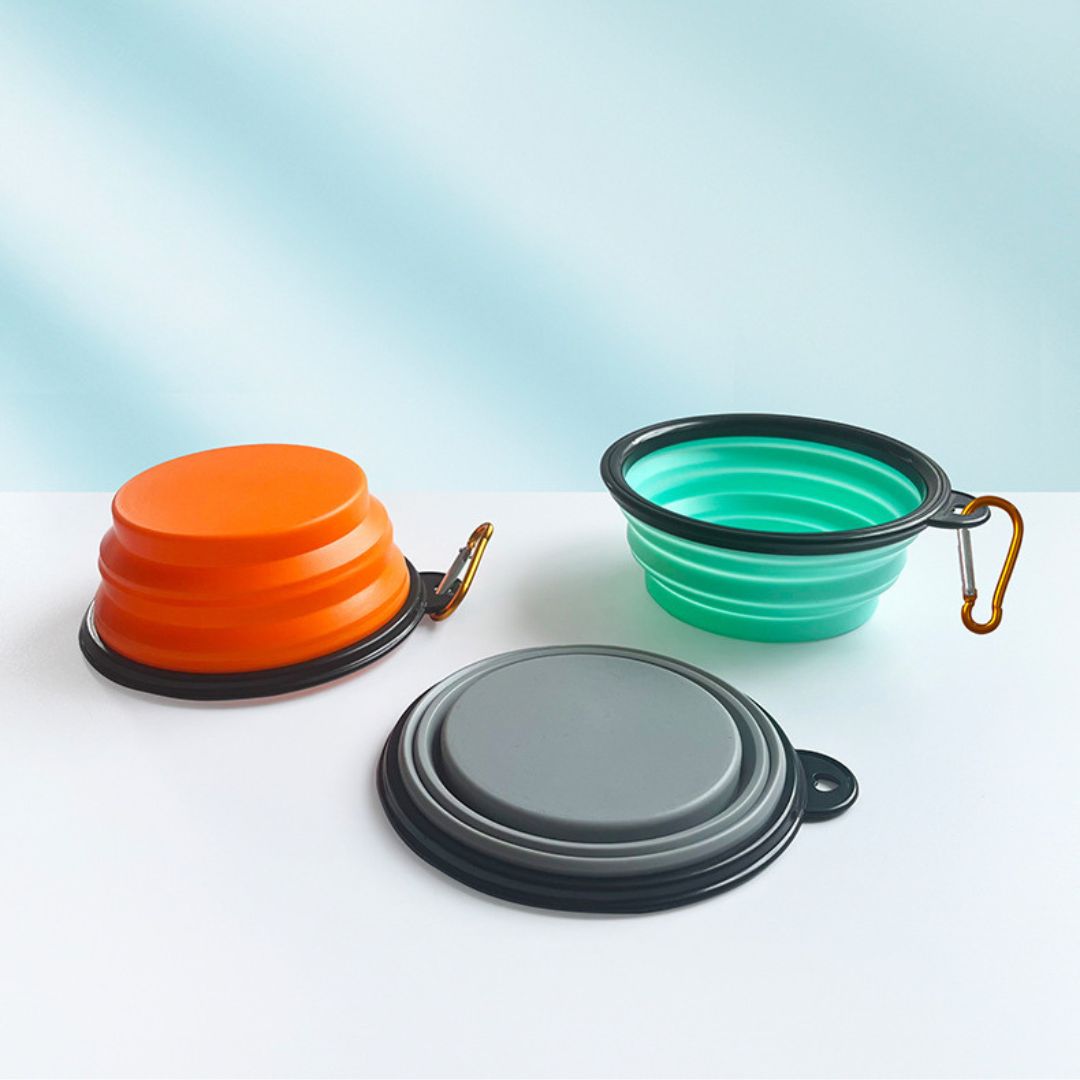 Collapsible Dog Bowls for Travel