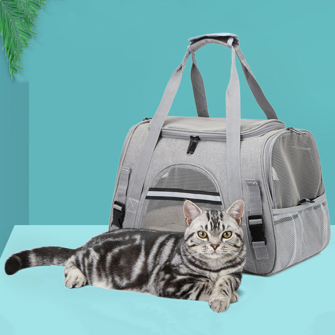 Airline Approved Soft Pet Carrier