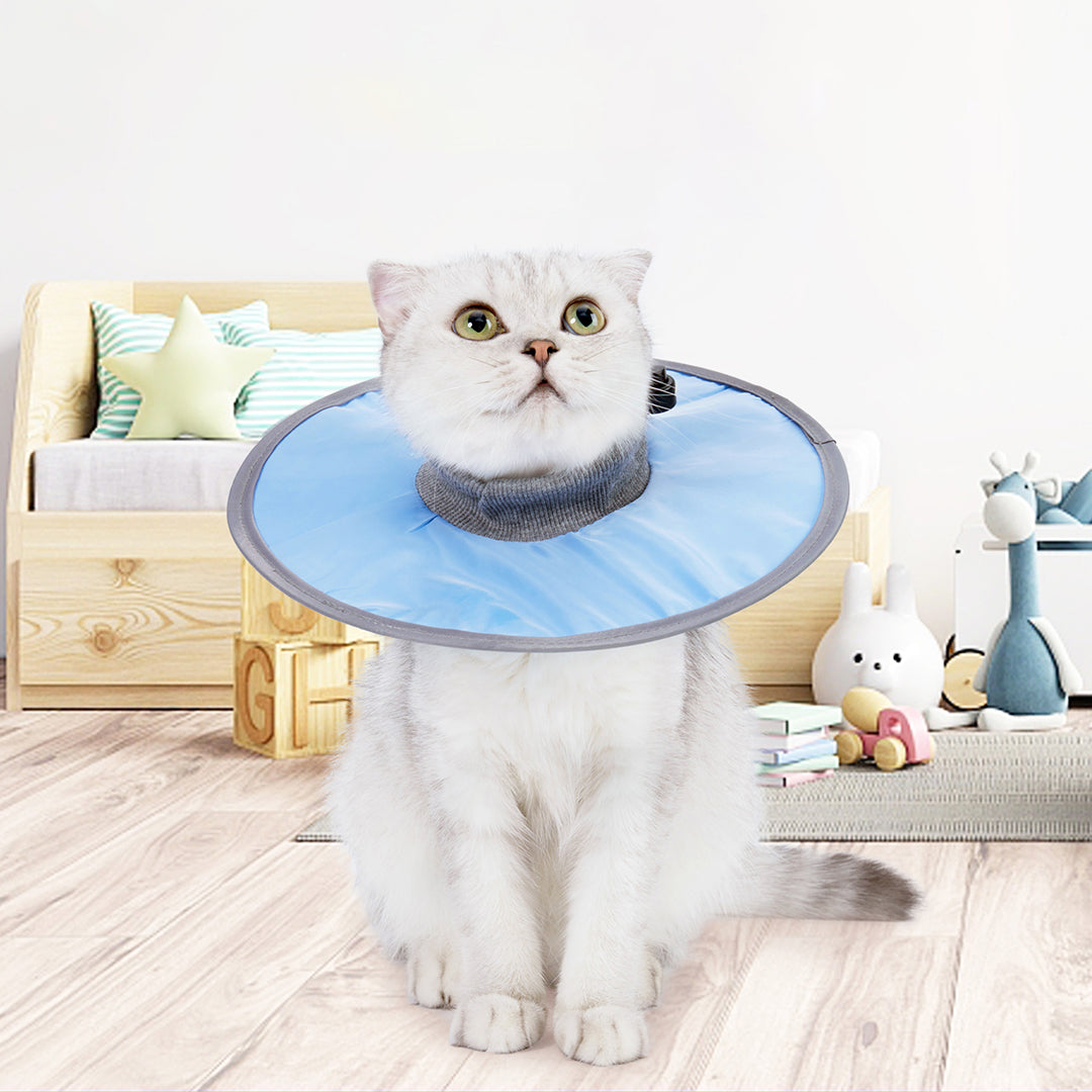 Lightweight Pet Elizabethan Collar