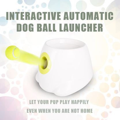 Interactive Automatic Dog Ball Launcher